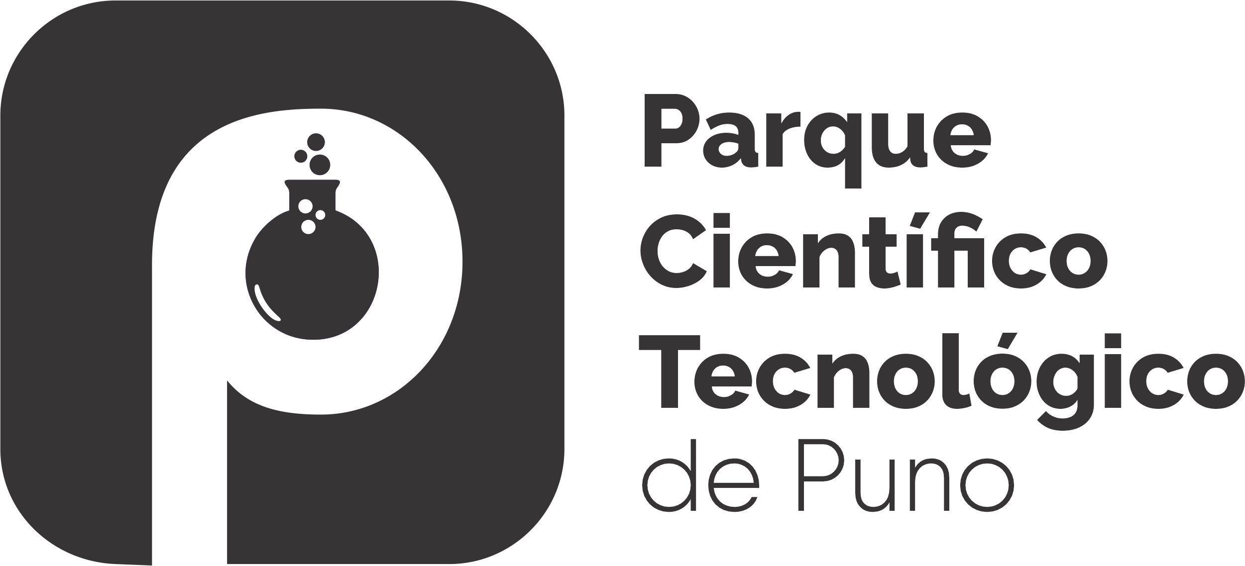 Logo PCT